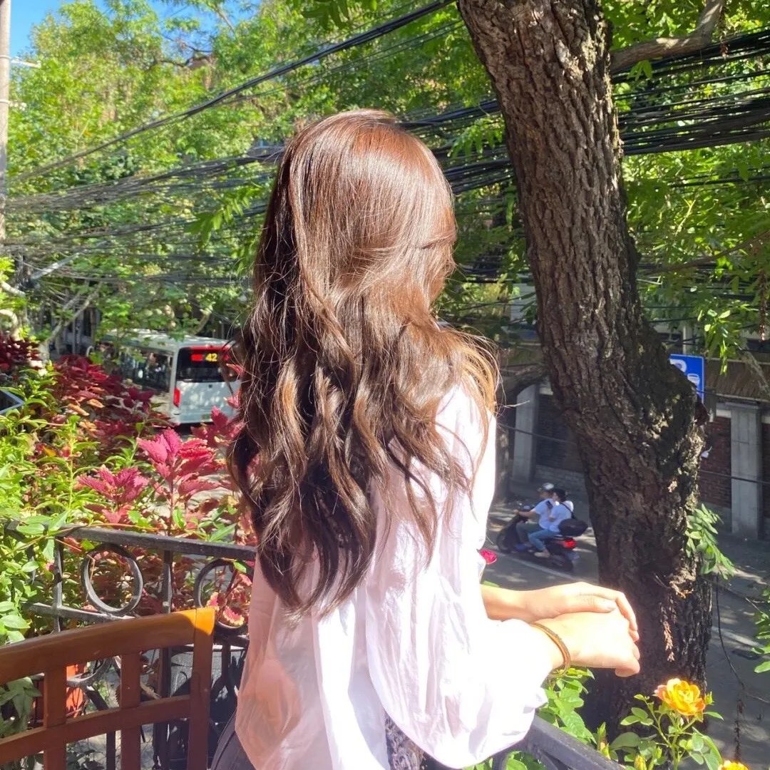 我的中国芯