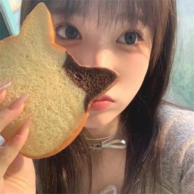 流浪猫鲍勃
